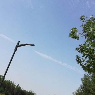 迷你飞龙大作战破解版下载